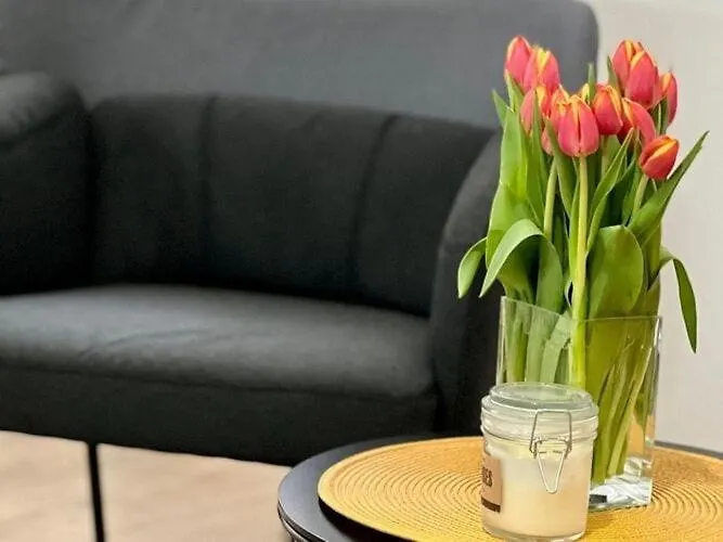 Noa Old Town - - First Floor 두브로브니크