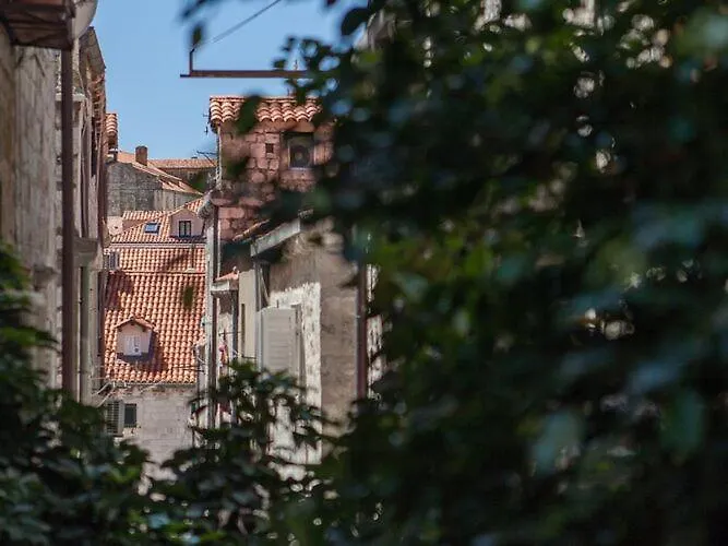 아파트 Noa Old Town - - First Floor 두브로브니크