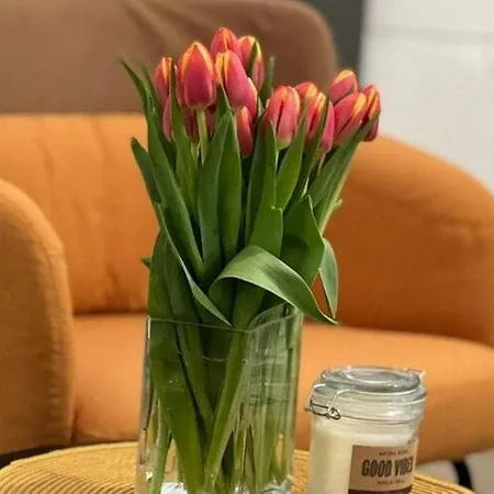 Noa Old Town - - First Floor Apartamento Dubrovnik